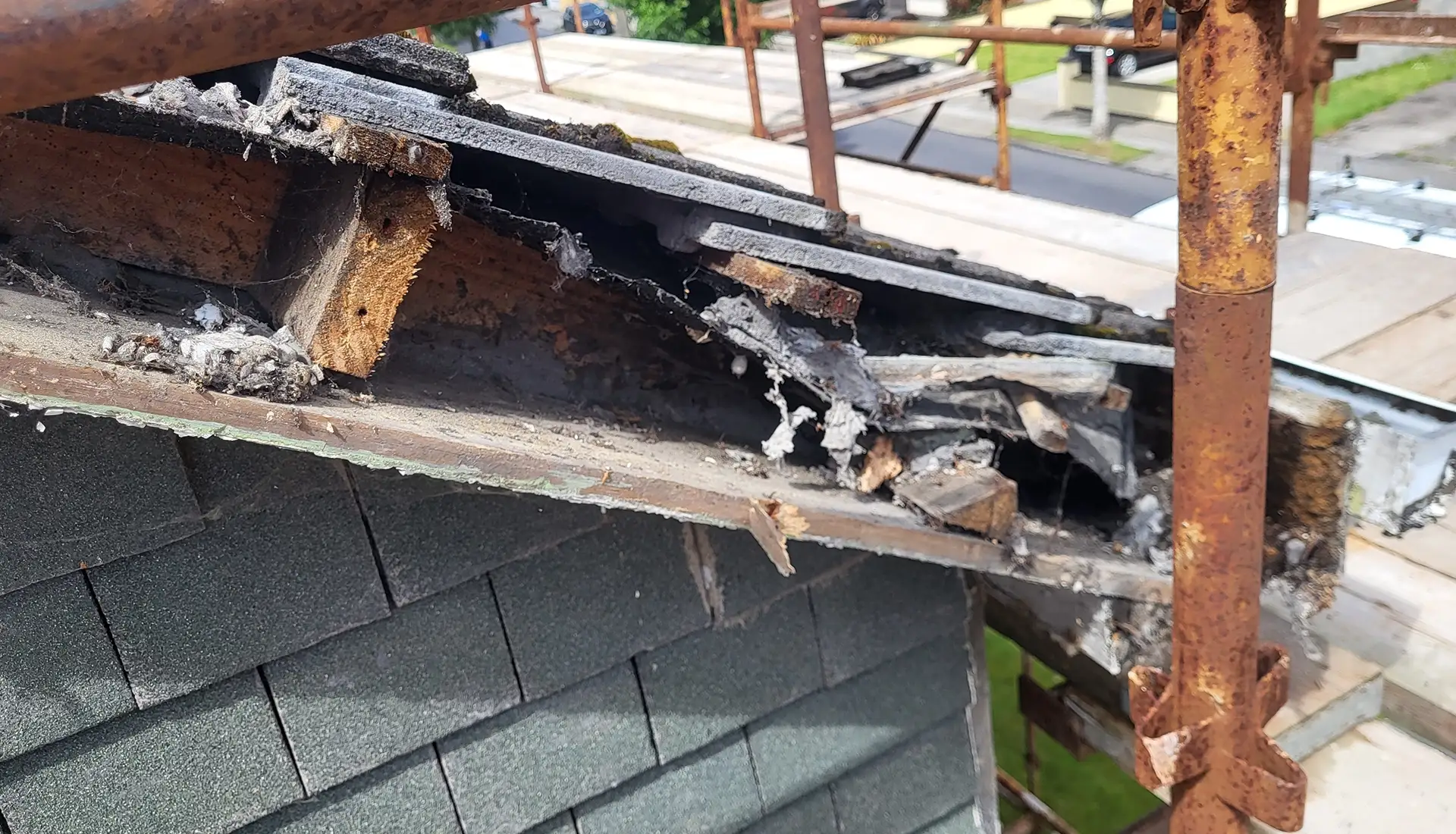 Roof 04 2025
