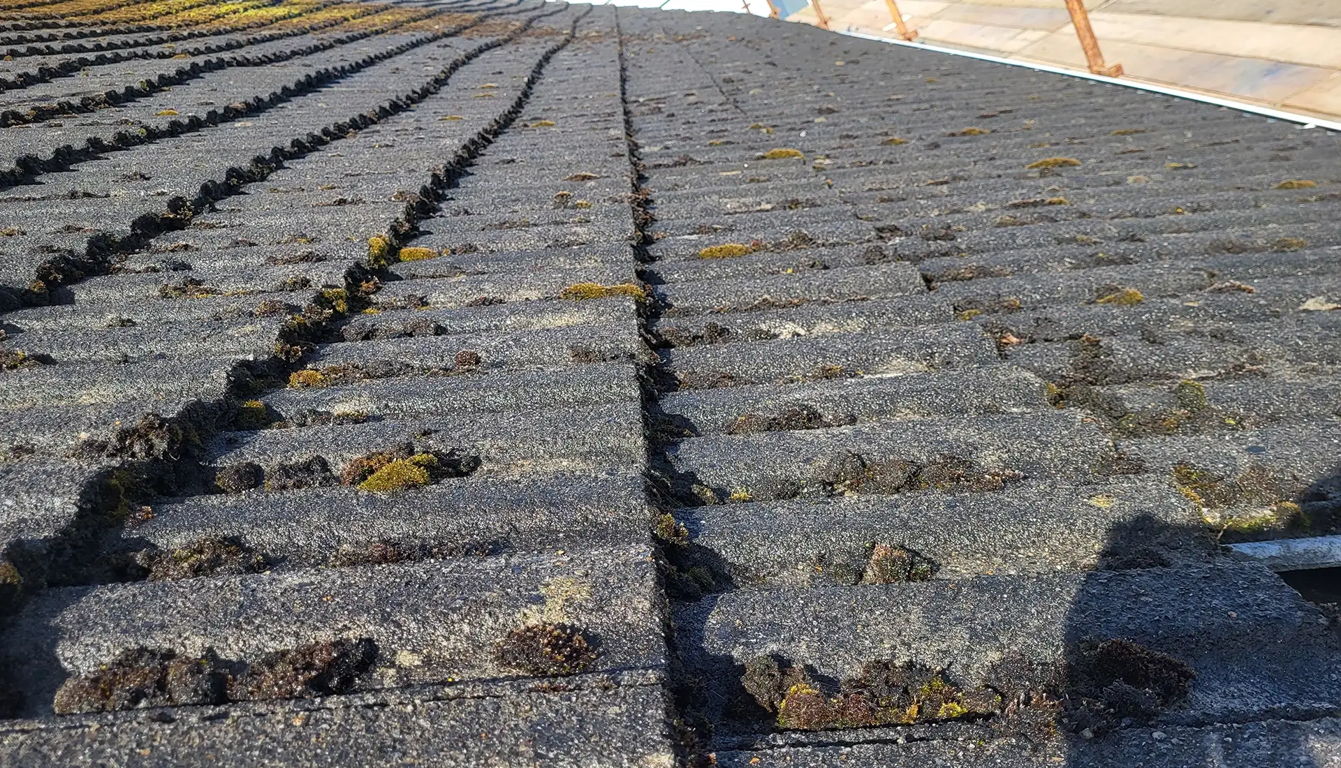Roof 05 2025