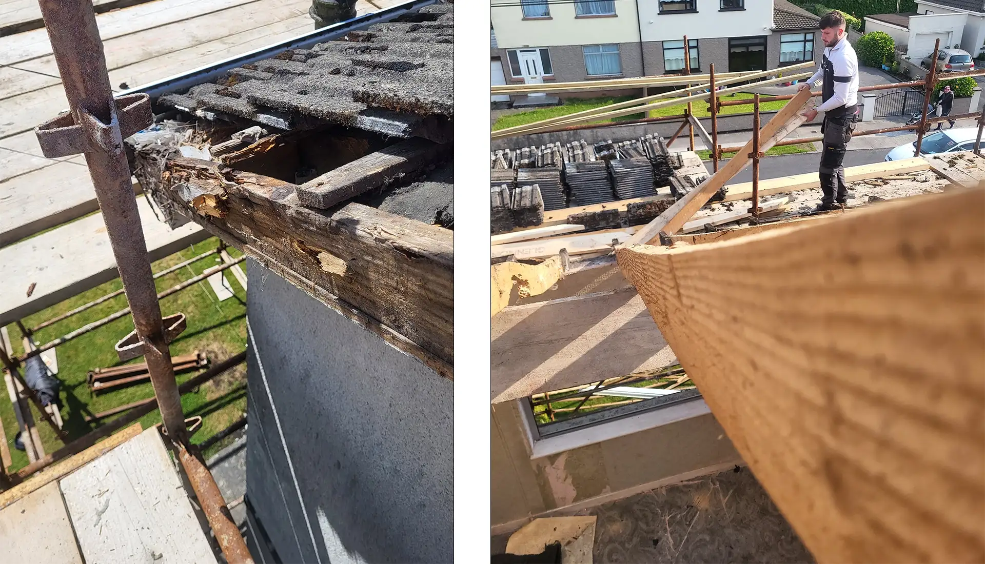 Roof 06 2025